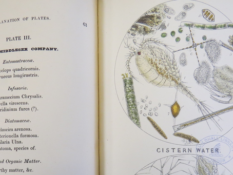 A Drop of London Water 1850