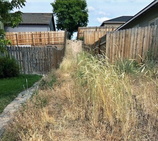 Path - Strawberry & Malia_edited.jpg