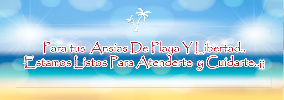 banner-01-02.jpg