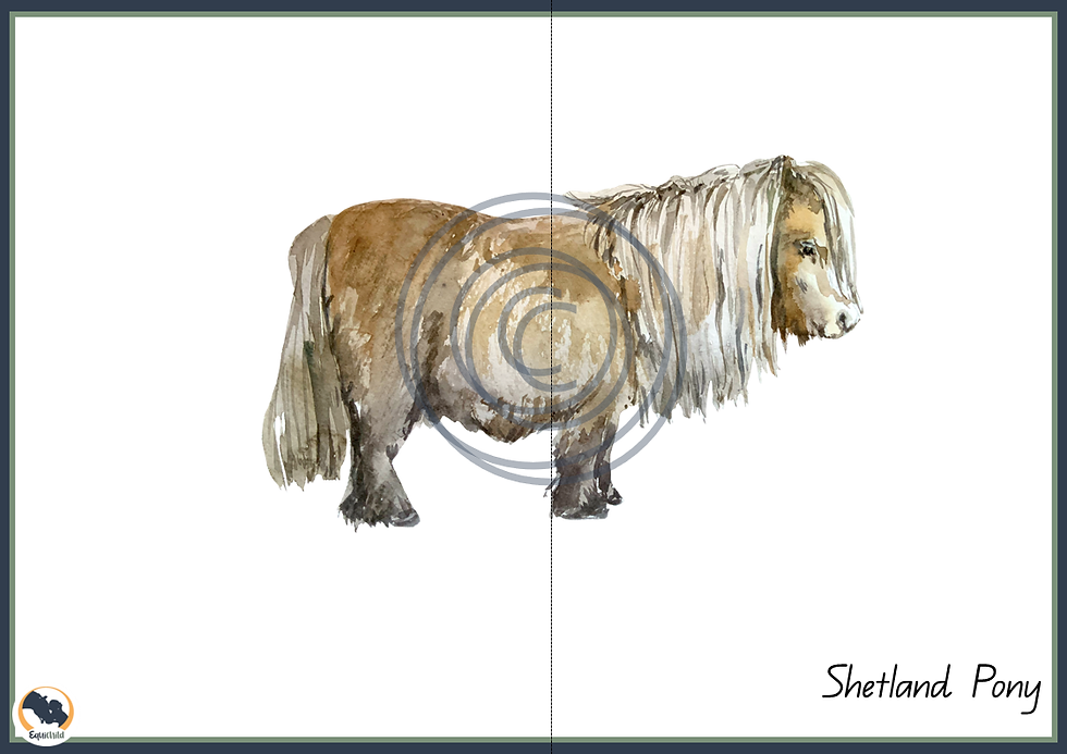 Thumbnail: Matching Game: Heads N Tails