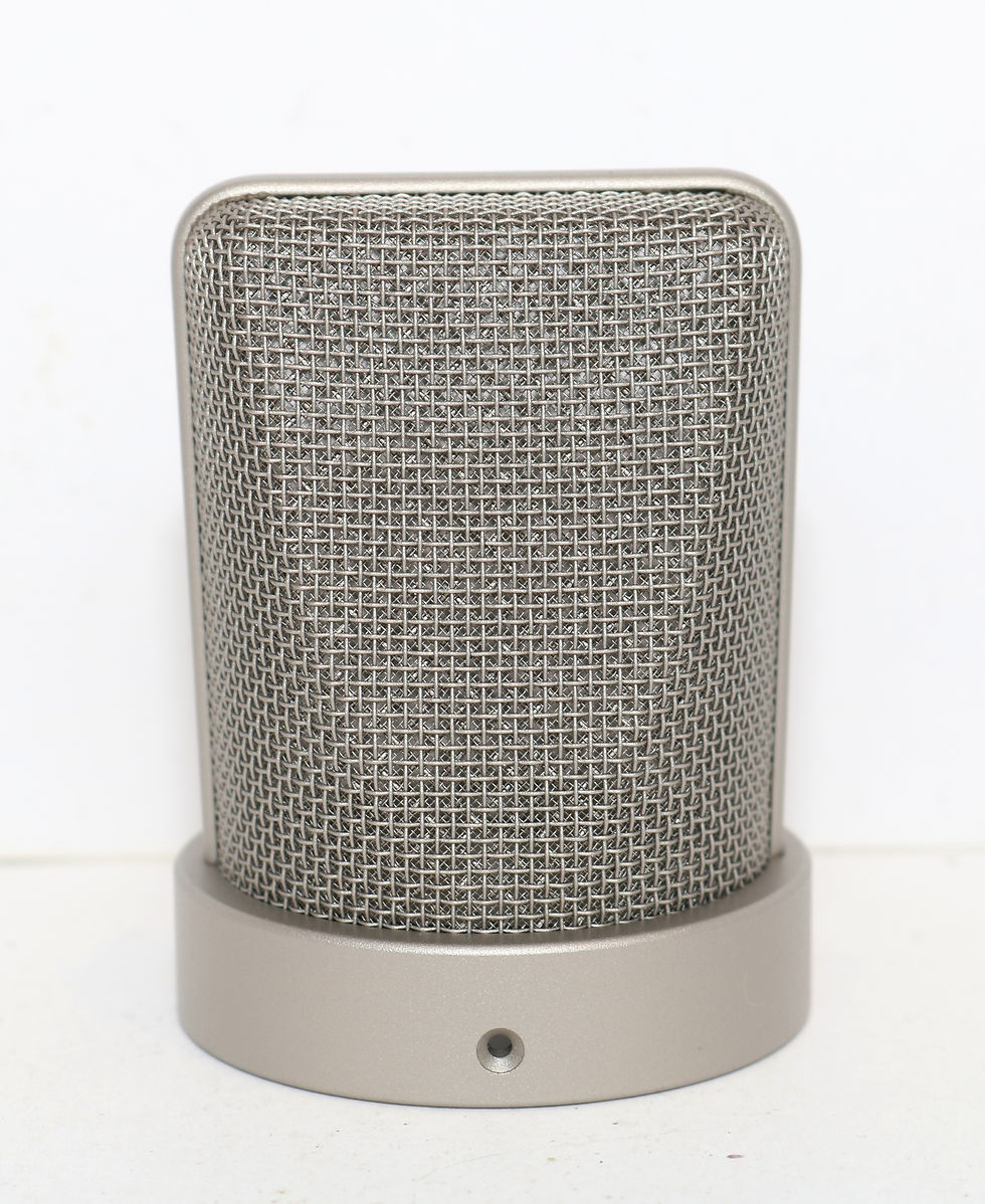 Thumbnail: Neumann TLM103 Headgrille (ni)