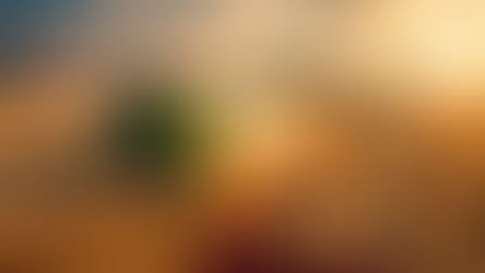 El campo arranca un año récord