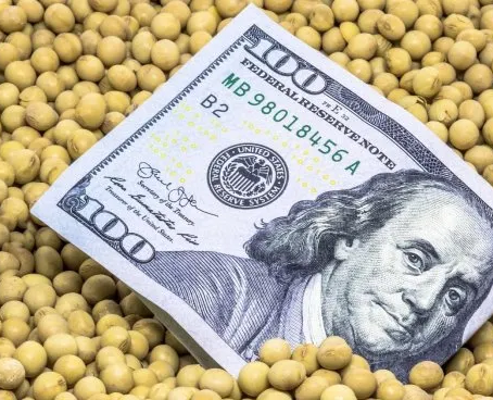 Eliminar retenciones elevaría exportaciones y recaudación