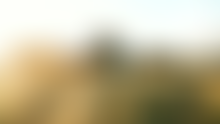 Diez complejos marcaron récord exportador en una década