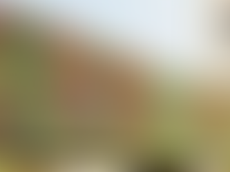 Ahmedabad Annual Flower Show