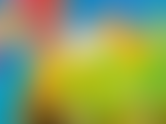 Holi (Festival of Colours) – 13 March 2025