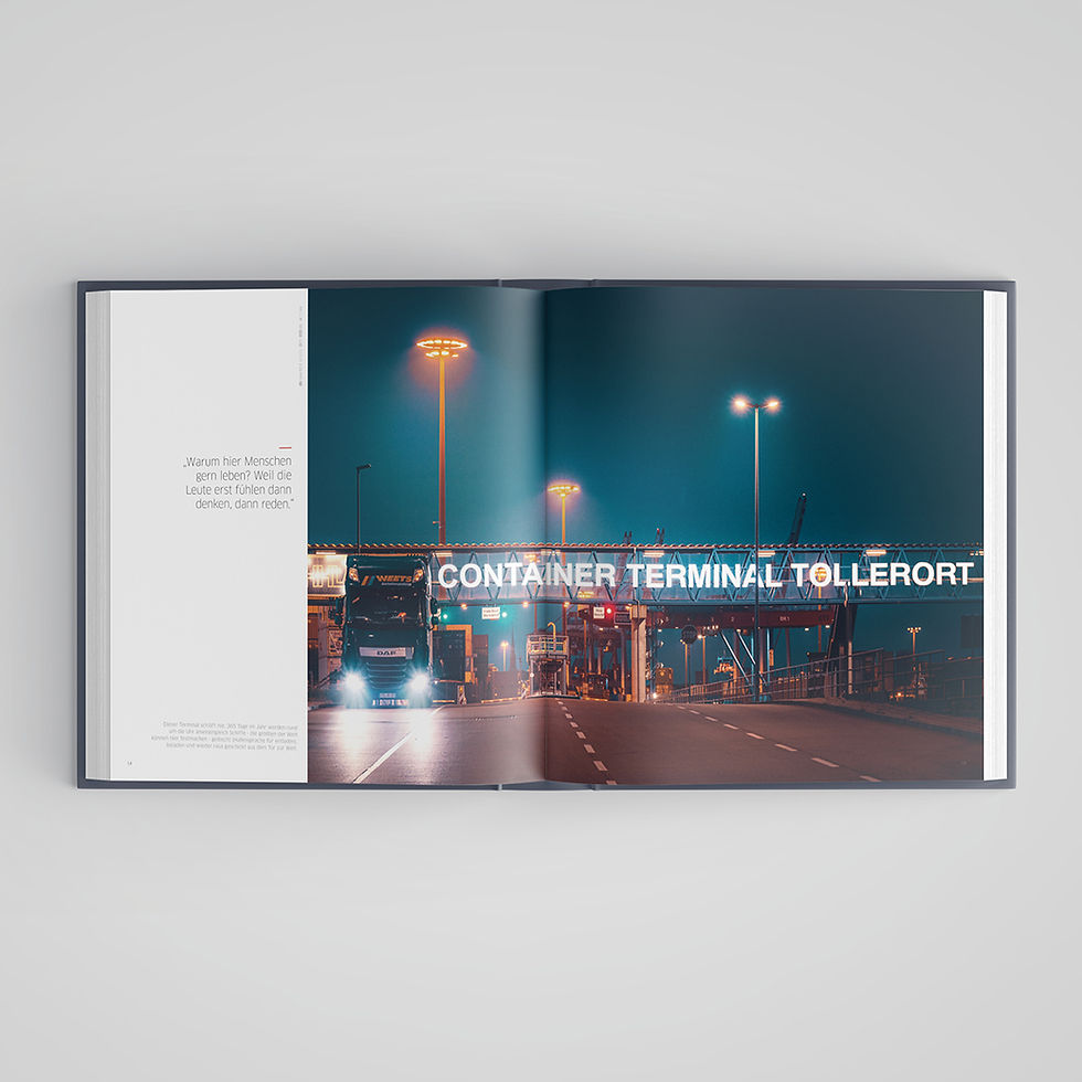 Miniaturbild: DER HAMBURGER – Das Buch der Stadt