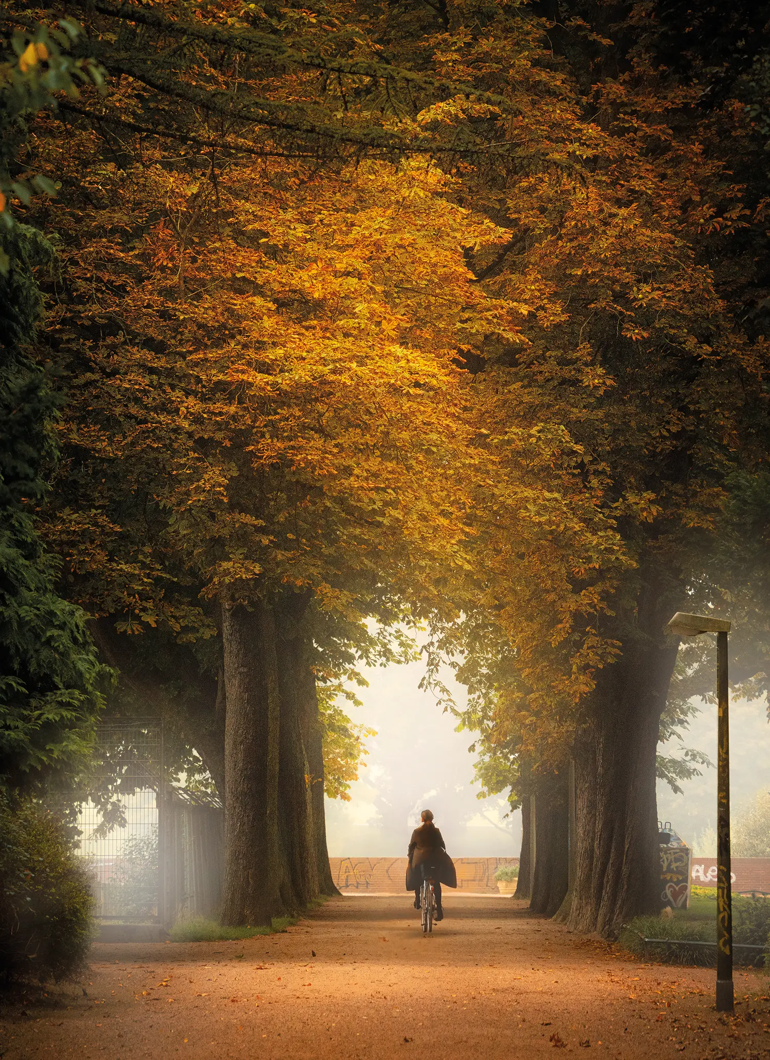 14_DH2304_Ansichtssache_Stadtpark_Regine Marxen_MatthiasPlander_Stadtpark_Alle_Autumn.webp