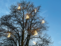 Bildschirmfoto 2025-11-11 um 10.32.42.png