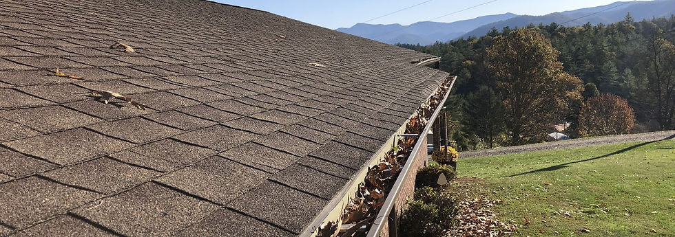 clogged-gutters-1.jpeg