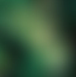 The Invasive Plant Dilemma