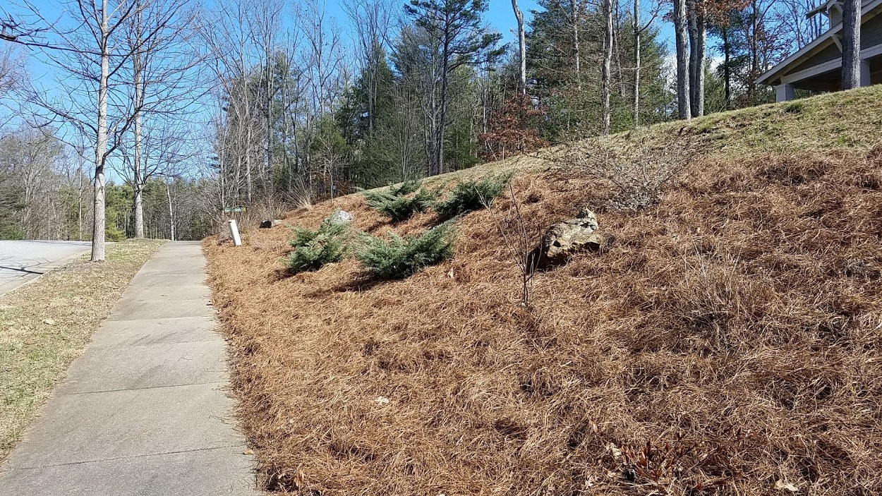 Asheville Landscaping Provides Mulch and Pine Needles