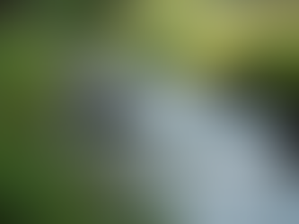 The Art of Mindful Living