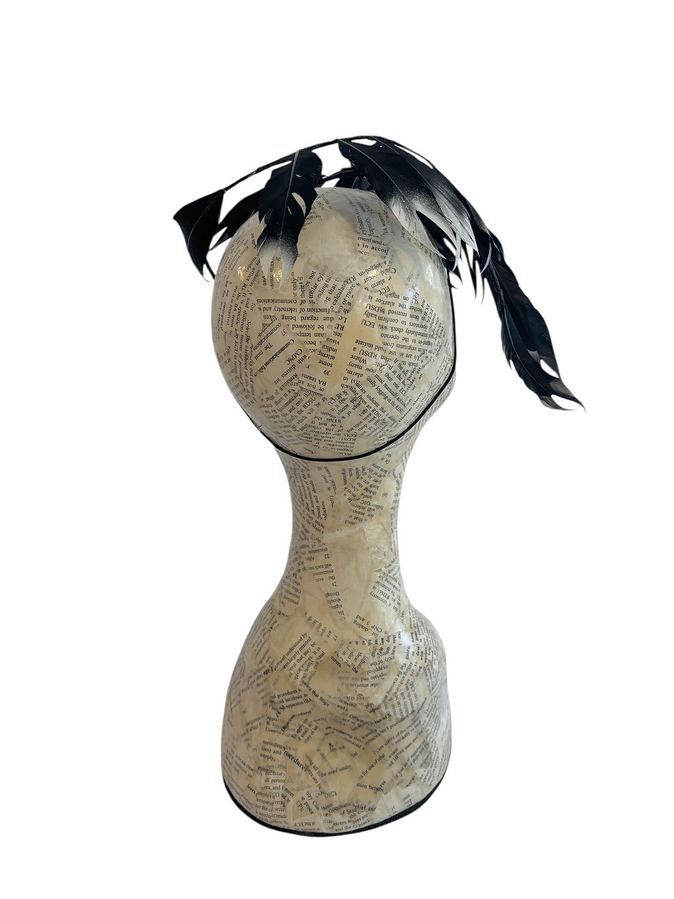 Thumbnail: Black Ombre Feathered Crown