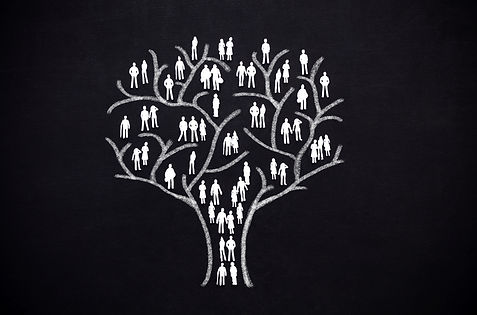 ARBRE GENEALOGIQUE 4.jpg