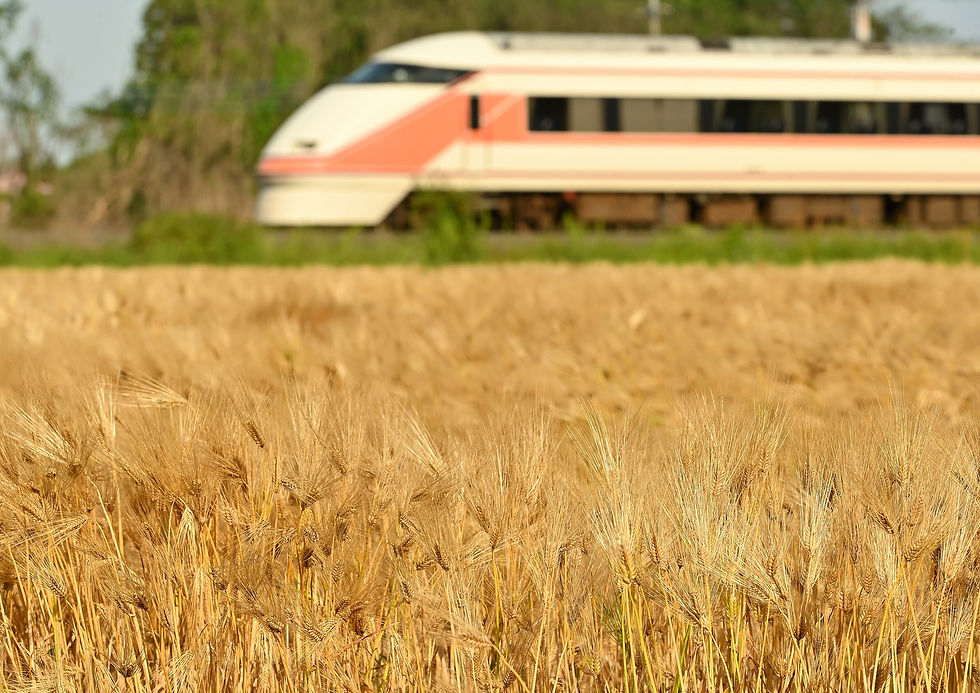 東武金崎―楡木