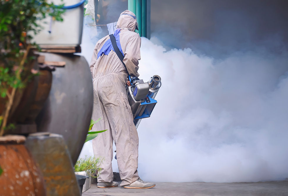 Honduras declara emergencia sanitaria ante aumento de casos de dengue