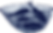 Fish%20in%20Net_edited.png