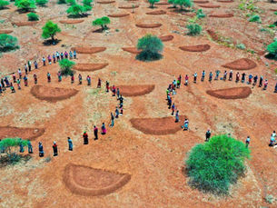 Justdiggit: Reviving sub-Saharan landscapes with earth smiles