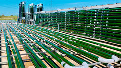 AlgaEnergy and the future of sustainable agriculture