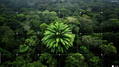 Saving Encephalartos woodii: How AI and drones are revolutionizing plant conservation