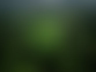 Saving Encephalartos woodii: How AI and drones are revolutionizing plant conservation