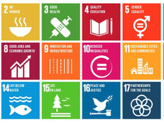 Comment: The failure of the sustainable development goals