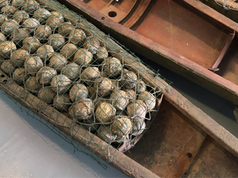 Southeast Asia’s landmine survivors cannot wait for perfect politics