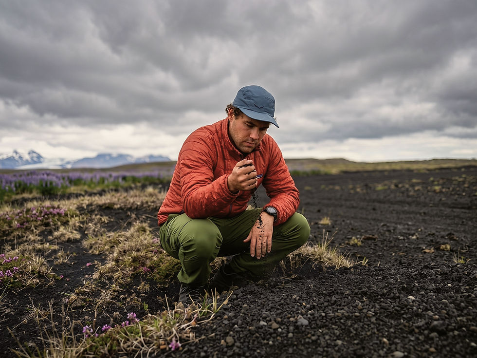 Reforesting Iceland – The greening of shattered stone
