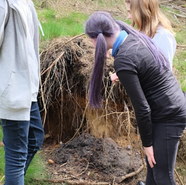 Hamburg pupils explore urban forests through outdoor learning and TREEPOLY