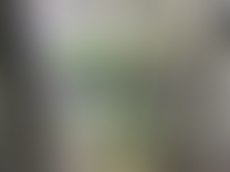 Förderung von Partnerschaften für Nachhaltigkeit: Global Society Institute Tarifa besucht Ibyda in Malaga