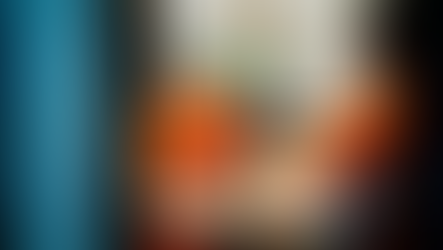 Soi Dog Foundation, the quiet defence of animal dignity