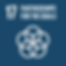 TheGlobalGoals_Icons_Color_Goal_17.png