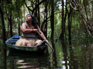 Global network of nature defenders