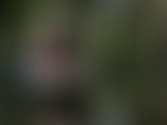 Global network of nature defenders