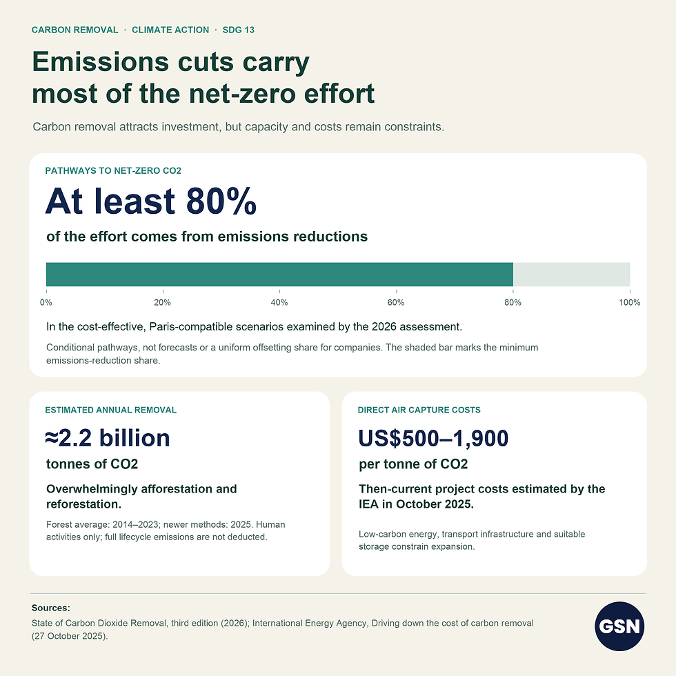 The global race to remove carbon dioxide from the atmosphere