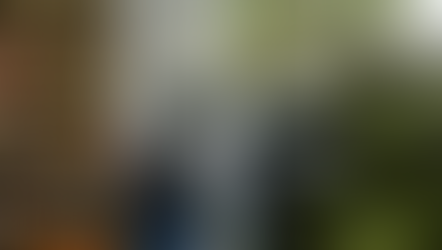 Dynamic goals for sustainable development in universities: An overview analysis of SDG integration