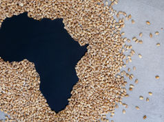 World Without Hunger Conference 2024: Africa united in the fight against food insecurity