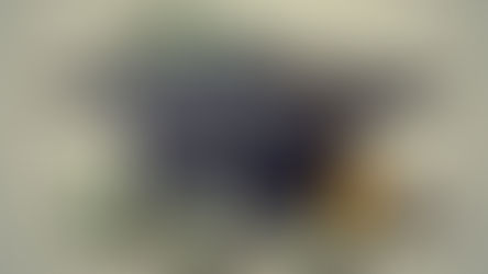 CalNonprofits and the global society: Tackling student debt for a sustainable future