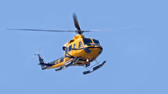 Helicopters rescue tortoise operation