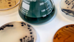 Colorifix’s DNA driven dyeing innovation scales up sustainability