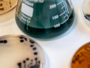 Colorifix’s DNA driven dyeing innovation scales up sustainability