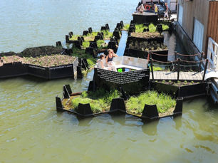 Recycled Park: Rotterdam’s floating green innovation
