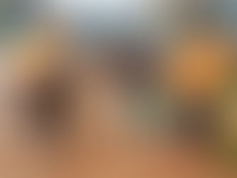 Powerful women entrepreneurs for sustainable energy solutions in Sub-Saharan Africa