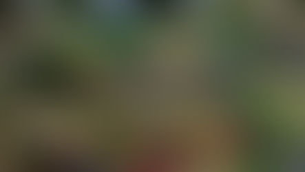 Small communities worldwide are proving that innovation, tradition and ecological balance can create lasting global impact