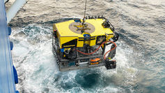 Argentine deep-sea expedition captivates millions with live ocean extraordinary discoveries