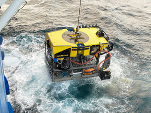 Argentinische Tiefsee-Expedition fesselt Millionen mit außergewöhnlichen Live-Entdeckungen im Ozean.