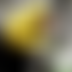 Snow and avalanche research for the sustainable protection of people and nature