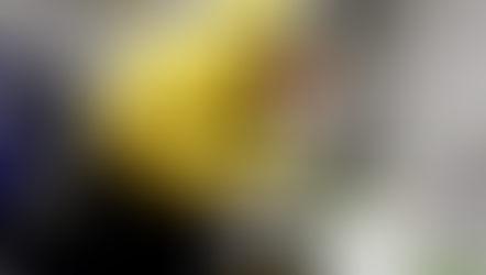 Snow and avalanche research for the sustainable protection of people and nature