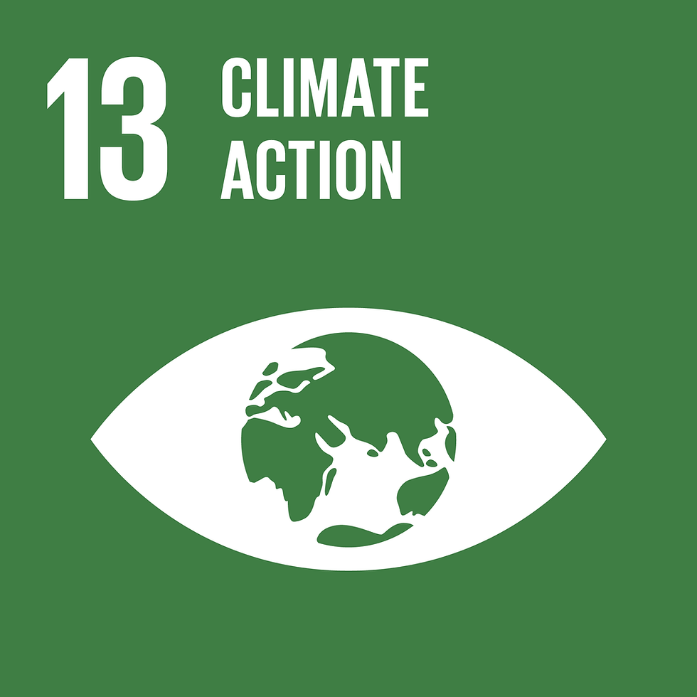 SDG 13 CLIMATE ACTION